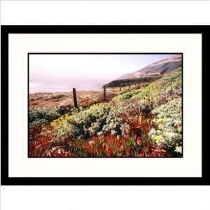  Landscape Big Sur Coast, California Framed Photograph Frame Finish 