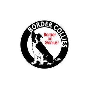border collies border on genius border collie bumper sticker 31/2x31/2
