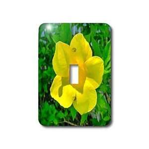 Florene Flower   Sunbeam Pretty   Light Switch Covers   single toggle 