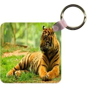  Orange Tiger Art Key Chain   Ideal Gift for all Occassions 