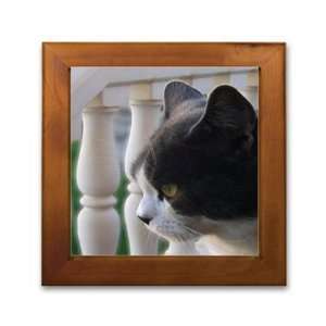 Framed Printed Ceramic Tile   Framed Art   6 x 6   Design Cat/ Cats 