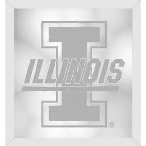  Illinois Fighting Illini Beveled Wall Mirror: Sports 