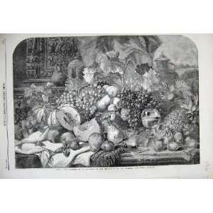  1859 Fruit Pear Duffield Exhibit British Institution