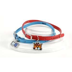  Romero Britto Dog Collar w/Charm: Pet Supplies