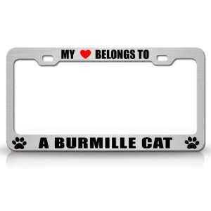  MY HEART BELONGS TO A BURMILLA Cat Pet Auto License Plate 
