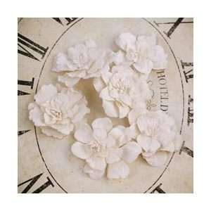  Prima Parisa Handmade Paper Flowers 2 6/Pkg Aspen White 