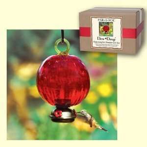  Dewdrop Hummingbird Feeder Ruby Red Gift Set: Patio, Lawn 