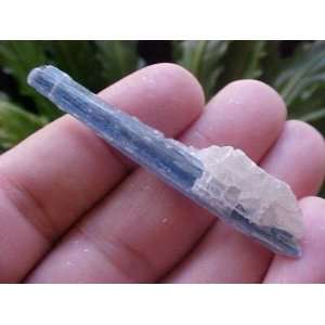  A4511 Gemqz Blue Kyanite in Quartz Blade 