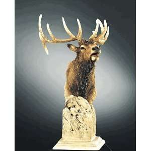  Rocky Mountain Elk Sculpture: Home & Kitchen