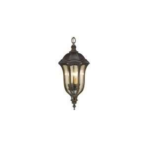 Baton Rouge Outdoor Pendant Lighting 13 W Murray Feiss OL6012WAL