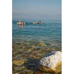  Taking a Swim in the Dead Sea   Peel and Stick Wall Decal 