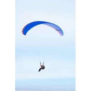 Sky Diver Fly   Peel and Stick Wall Decal by Wallmonkeys  
