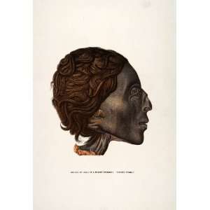  Mummy Thebes Egypt Archeology Profile Death Corpse Hair 