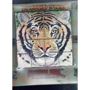   ENDANGERED SPECIES SIBERIAN TIGER BLOCK PICTURE PUZZLE Toys & Games