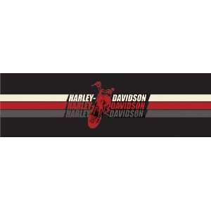  Vantage Point Harley Davidson Window Graphics Sports 