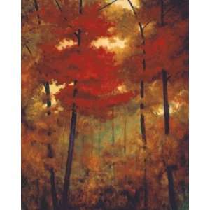  Robert Striffolino   Autumn Woods