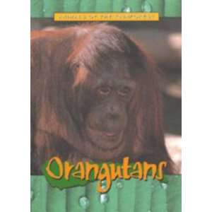  Orangutans (Animals of the Rainforest) (9781844210916 
