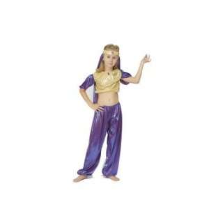  Pams Arabian Girl Fancy DressGirls Belly Dancer [Required 