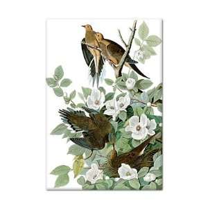 Mourning Dove John James Audubon Fridge Magnet