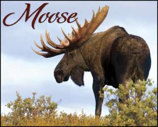 Moose 2012 Wall Calendar 9781607553700  