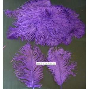 Ostrich~Royal Purple 20 Ostrich Feather 13 16 to Decorate Eiffel 