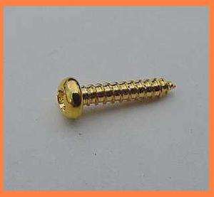 GOLD Truss Rod Cover Screws 3/8 S5  