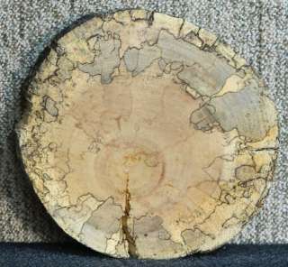 Spalted Maple Round Cut Ambrosia Cake Platter Clock Slab Log Slice 