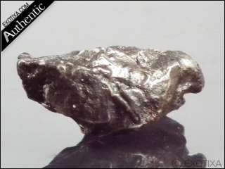 7g. SIKHOTE ALIN IRON METEORITE From Russia w/case#mr28  