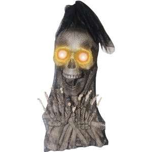  Bag of Bones with Light Up Moaning Skull 