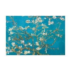  Almond Branches in Bloom   Vincent Van Gogh Poster