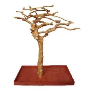  Java Wood Tree Parrot Play Stand Small Single AE200S: Pet 