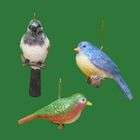   of 24 Spring Birds, Woodpecker and Blue Bird Christmas Ornaments 4