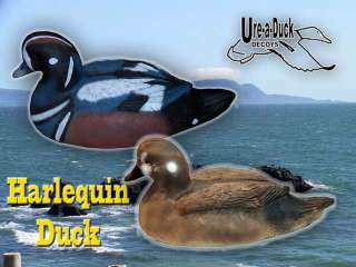 Diver Harlequin Duck Decoys Harlequin Duck Decoys  