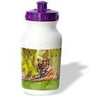 3dRose LLC Dinza   Tiger   Water Bottles
