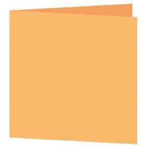   Blank Square Folder   Colors Melon Smooth (50 Pack) Toys & Games