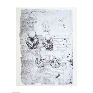  Five Views of a Fetus in the Womb   Poster by Leonardo Da 