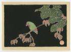 JAKUCHU Japanese Woodblock Print BLUE PARROT 1930s  