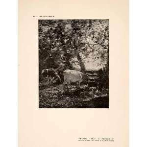  1907 Halftone Print Cows Milking Woman Farmer Tree Pasture 