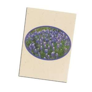  Promotional Seed Packet   Texas Bluebonnet (500 