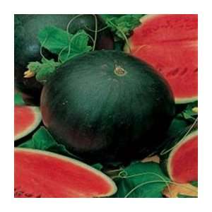  Organic Sugar Baby Watermelon   1/16oz. Bulk Vegetable Seed 