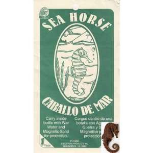  Sea Horse Wicca Wiccan Metaphysical Religious New Age 