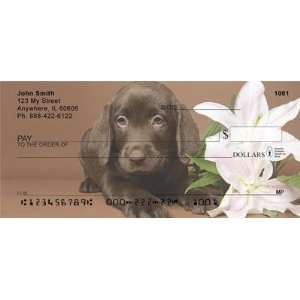  Chocolate Labrador Puppies Personal Checks Office 
