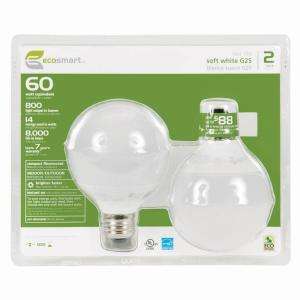 EcoSmart 14 Watt (60W) Soft White Globe CFL Bulbs (2 Pack) (E 