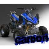 Carbon ATV 110cc Sport mit Rückwärtsgang