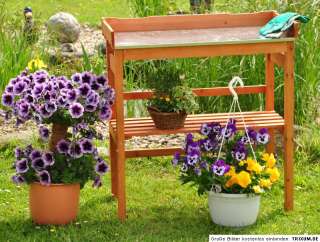 Pflanztisch Gartentisch Gärtnertisch Holz Tisch 24101  