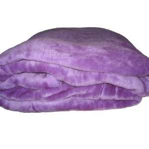 Queen Size Excell Gold Solid Korean Mink Blanket   Purple  