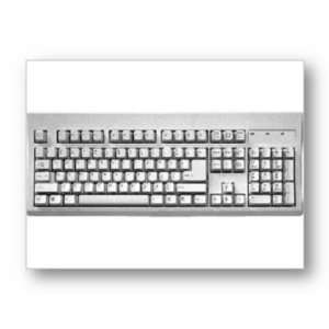  KEYTRONIC EO5366BTOPS2 C 104 Win Keyboard  Bulk 