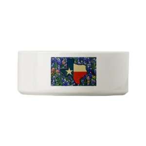  Dog Cat Food Water Bowl Texas Flag Bluebonnets Everything 