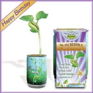   Birthday message grow engraved on the plant: Patio, Lawn & Garden
