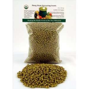 Mung Bean Sprouting Seed  Organic   1 Lbs  Dried Mung Beans for 